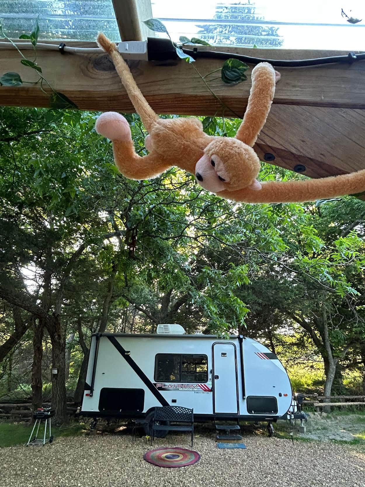 The Dyrt's photo of rv camping at Adventure Creek Ranch near Valley View, TX