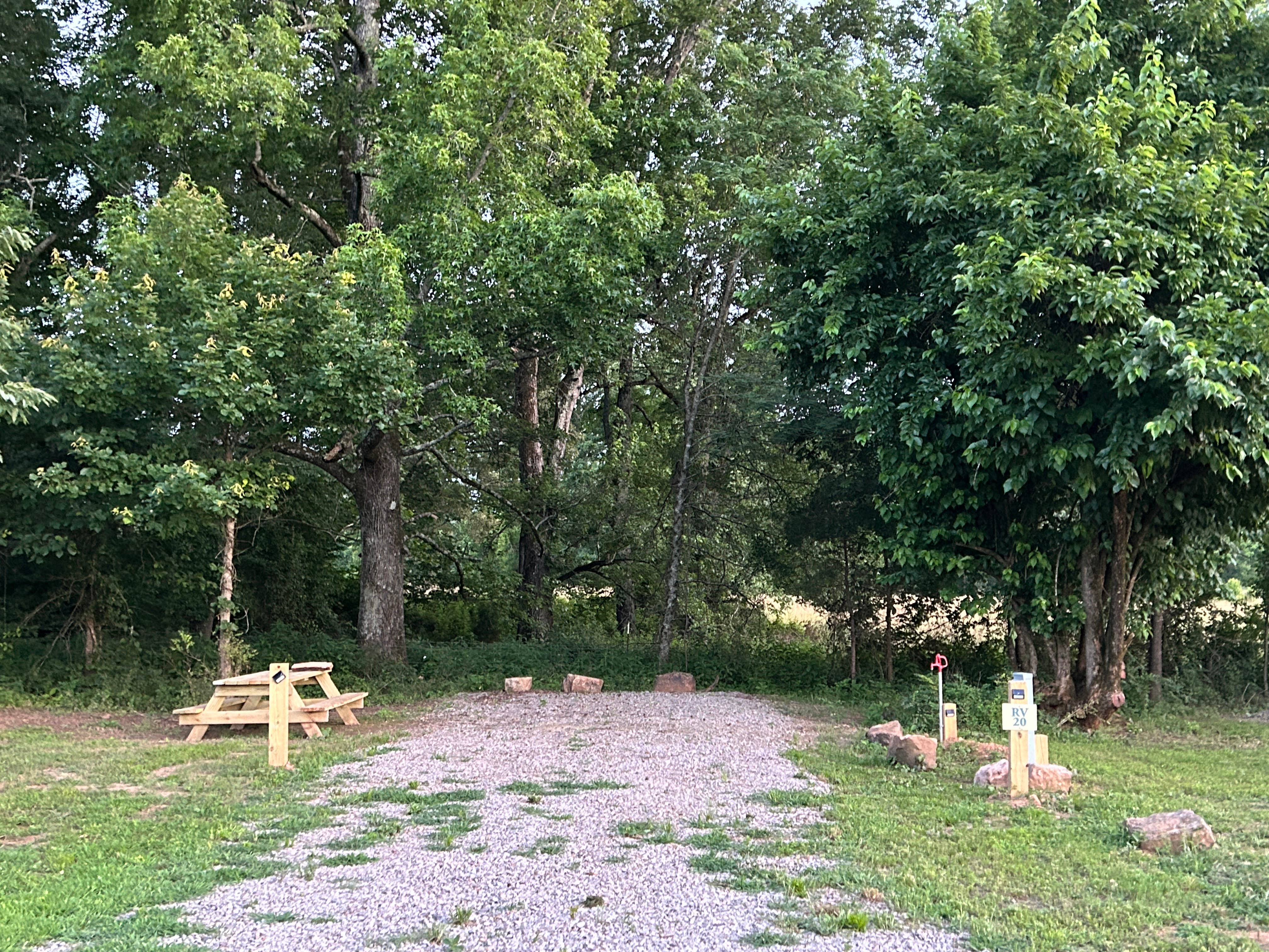 Vien W.'s photo of camping with pets at Turner Bend near Combs, AR