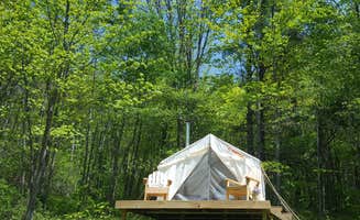 The Dyrt's photo at Overall Rustic near Williamstown, MA