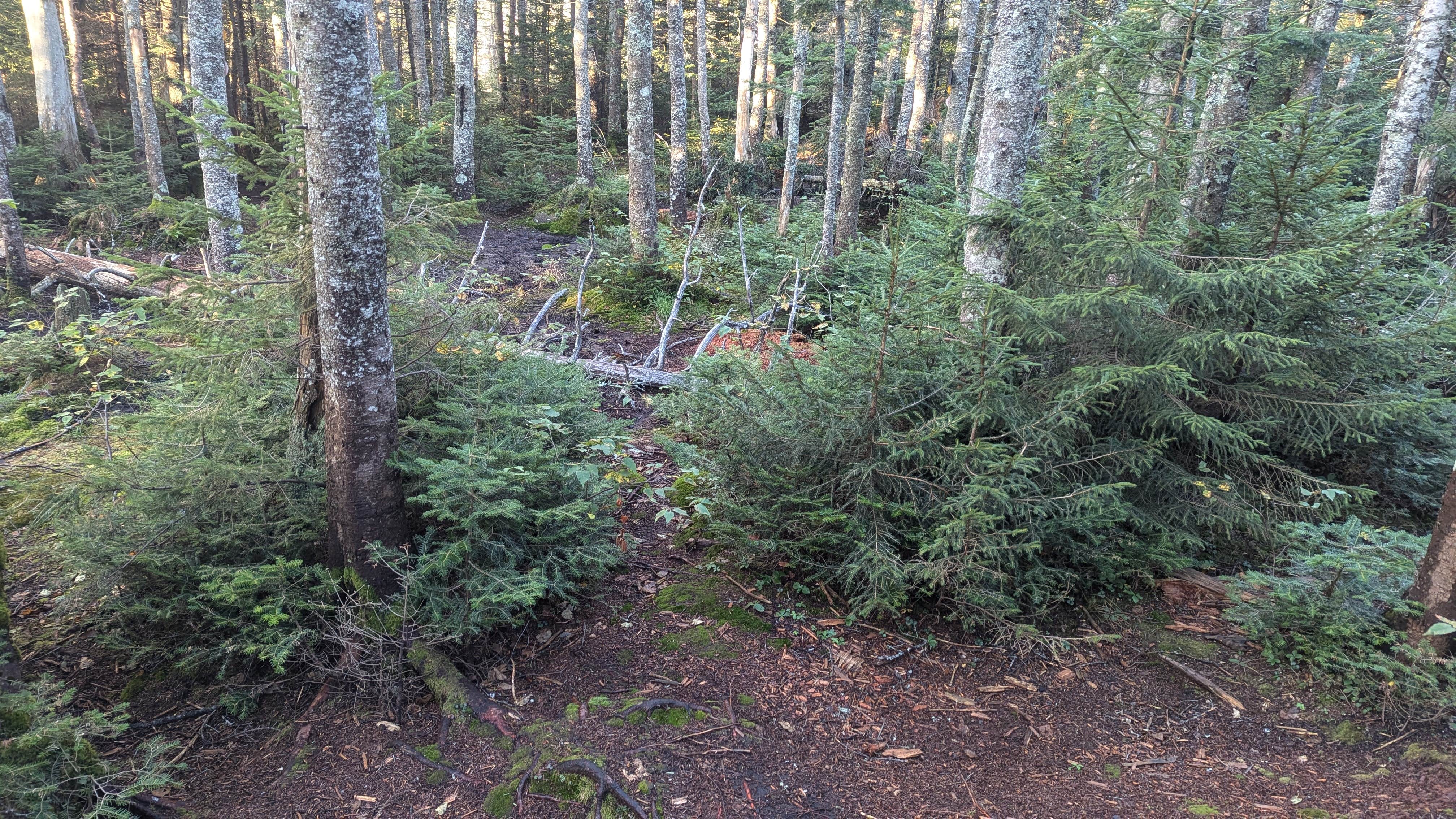 Camping near Lake Colden: Sno-Bird, Keene Valley, New York