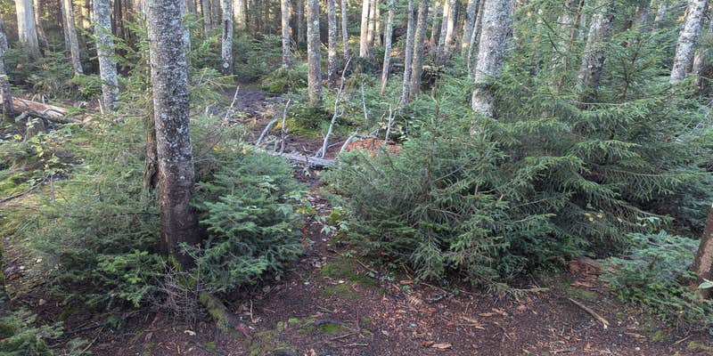 Camper submitted image from Sno-Bird