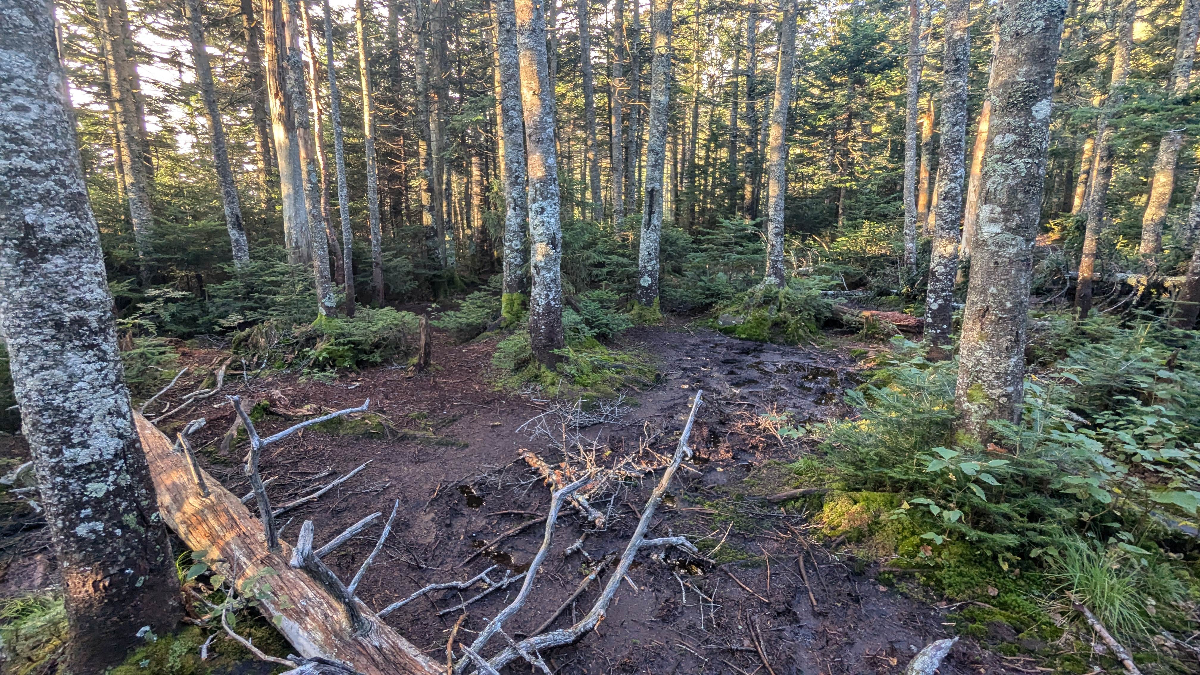 Camper-submitted photo at Sno-Bird near Paradox, NY