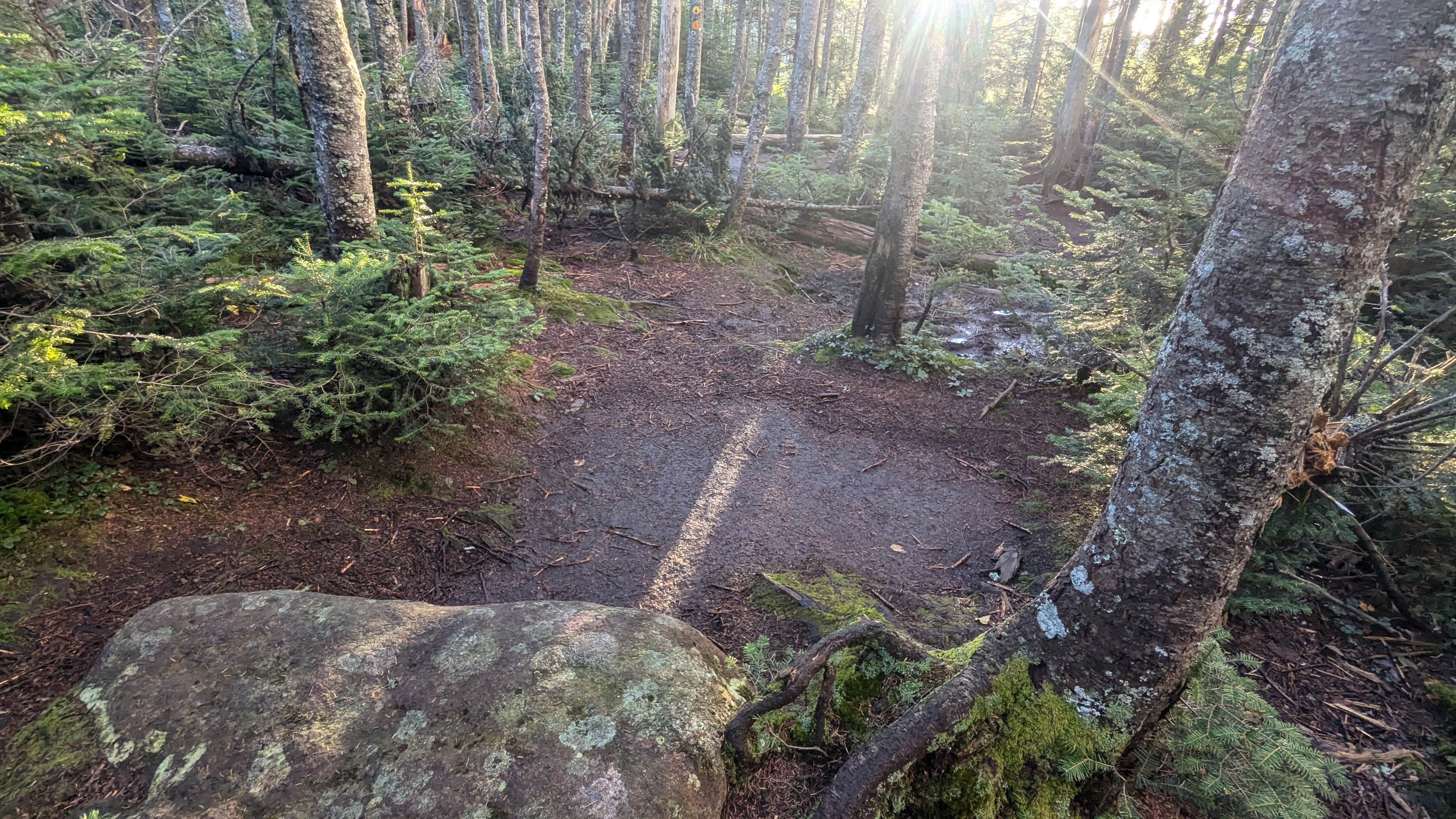 Camper-submitted photo at Sno-Bird near Paradox, NY