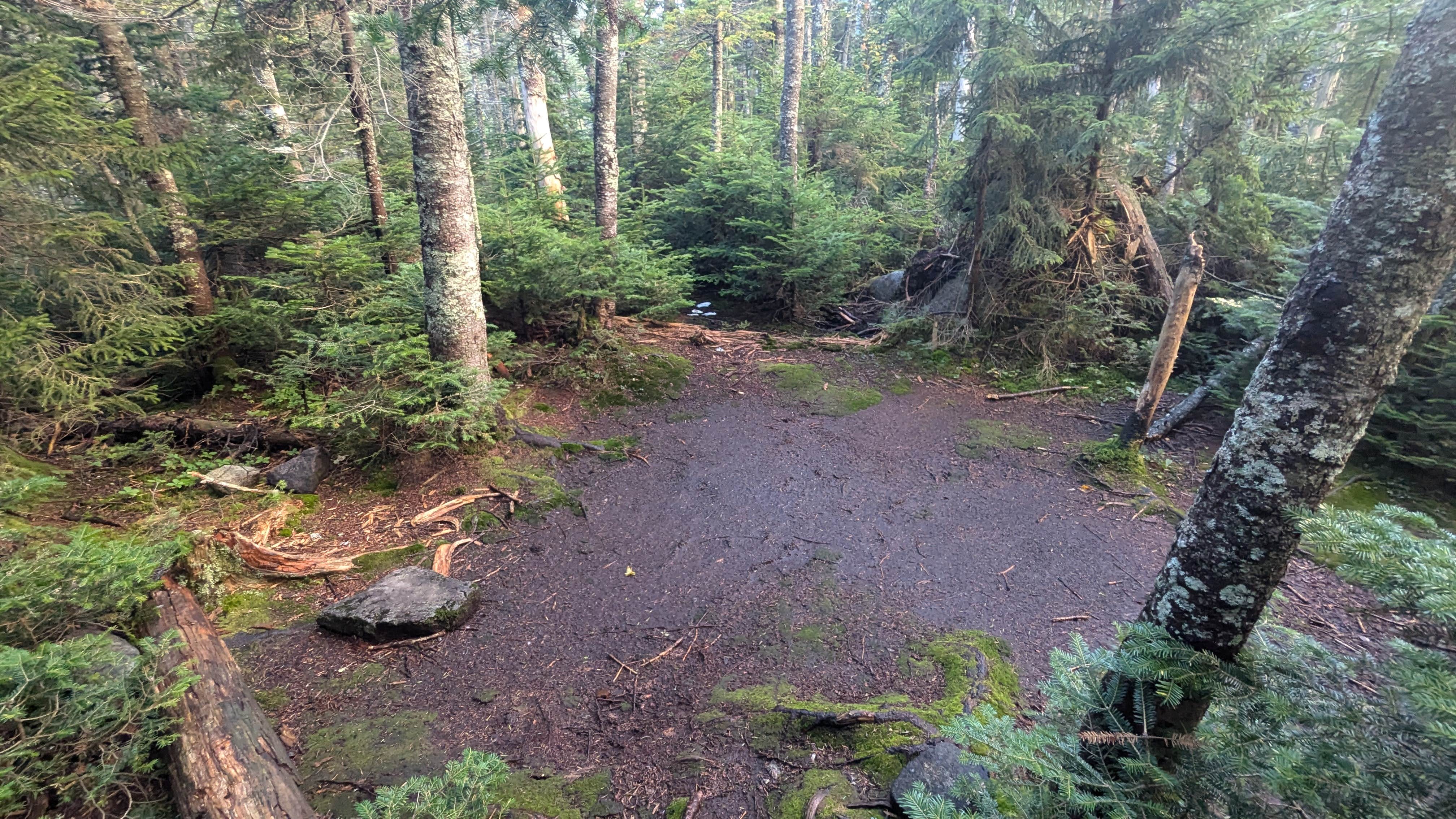 Camper submitted image from Sno-Bird - 5