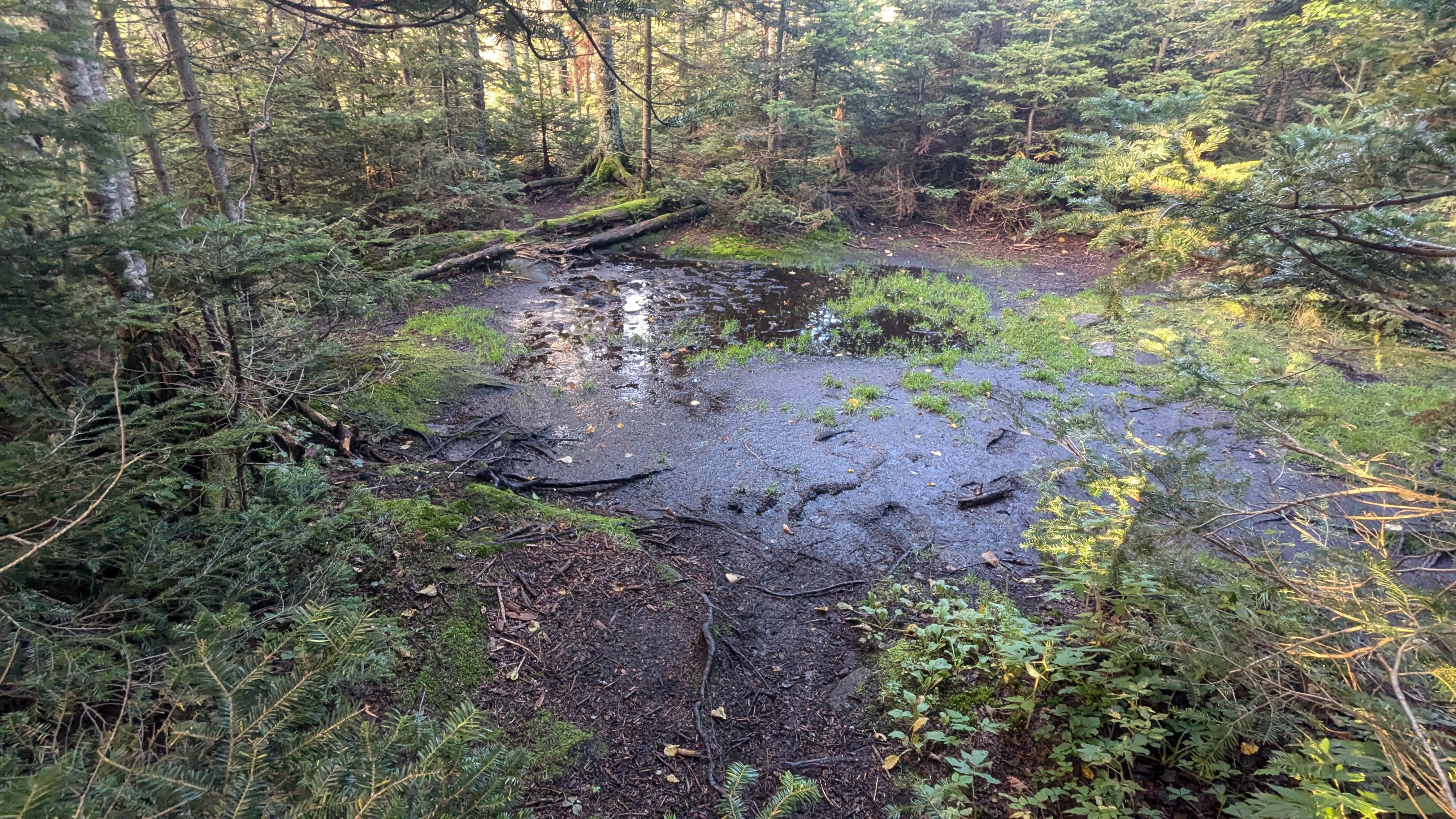 Camper-submitted photo at Sno-Bird near Paradox, NY