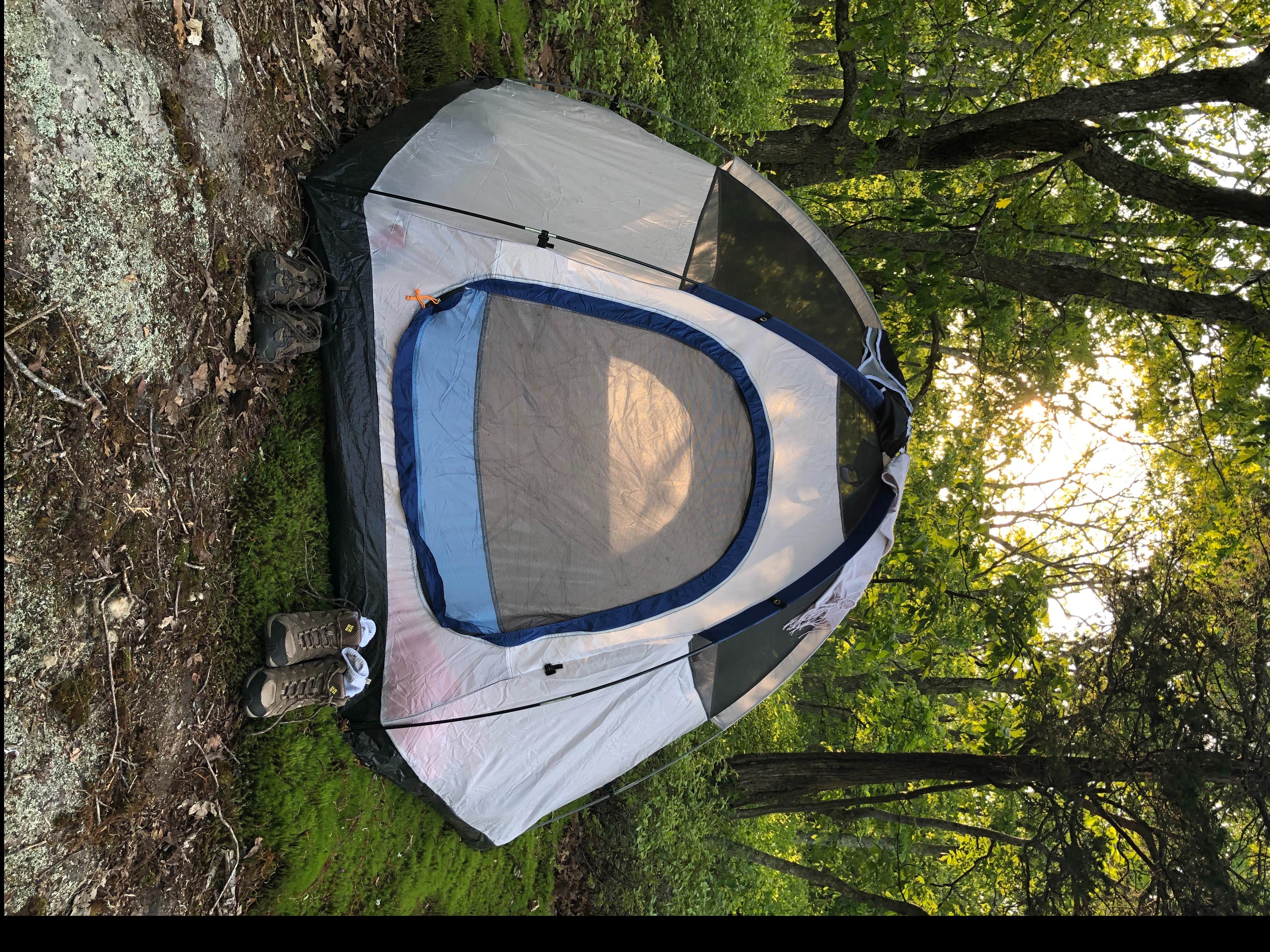 The Dyrt's photo at The Granite Meadow near Niantic, CT