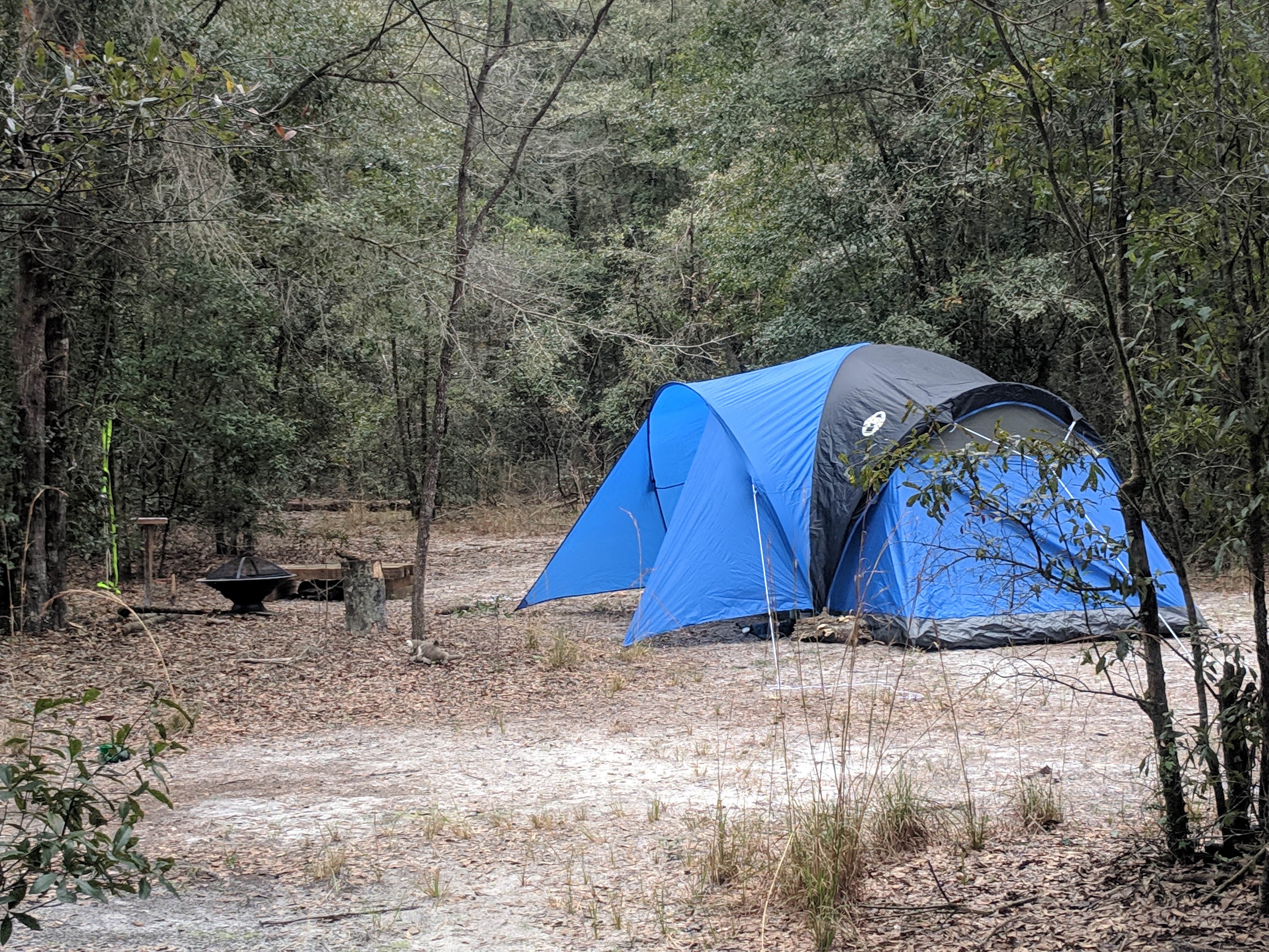 The Dyrt's photo at A Dog Dug Farm near High Springs, FL