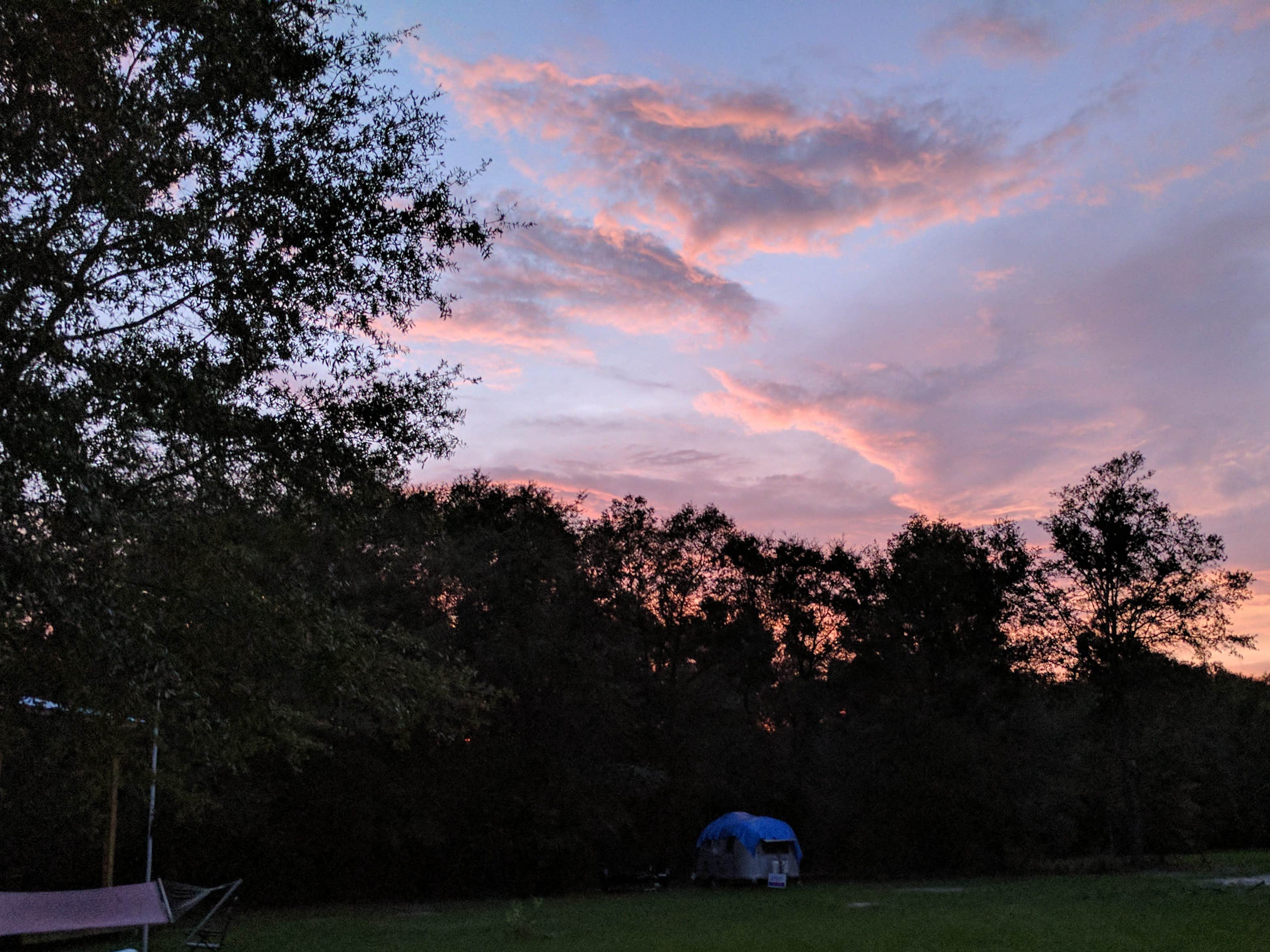 The Dyrt's photo at A Dog Dug Farm near Alachua, FL