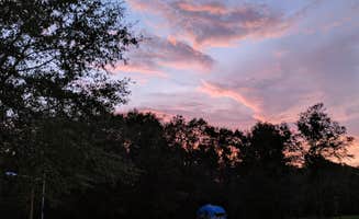 The Dyrt's photo at A Dog Dug Farm near High Springs, FL