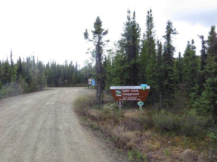 Camper submitted image from Ophir Creek Campground — White Mountains National Recreation Area - 2