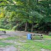 Review photo of Kittatinny Canoes River Beach Campsites by Wailym C., September 8, 2024