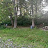 Review photo of Kittatinny Canoes River Beach Campsites by Wailym C., September 8, 2024