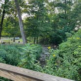 Review photo of Kittatinny Canoes River Beach Campsites by Wailym C., September 8, 2024