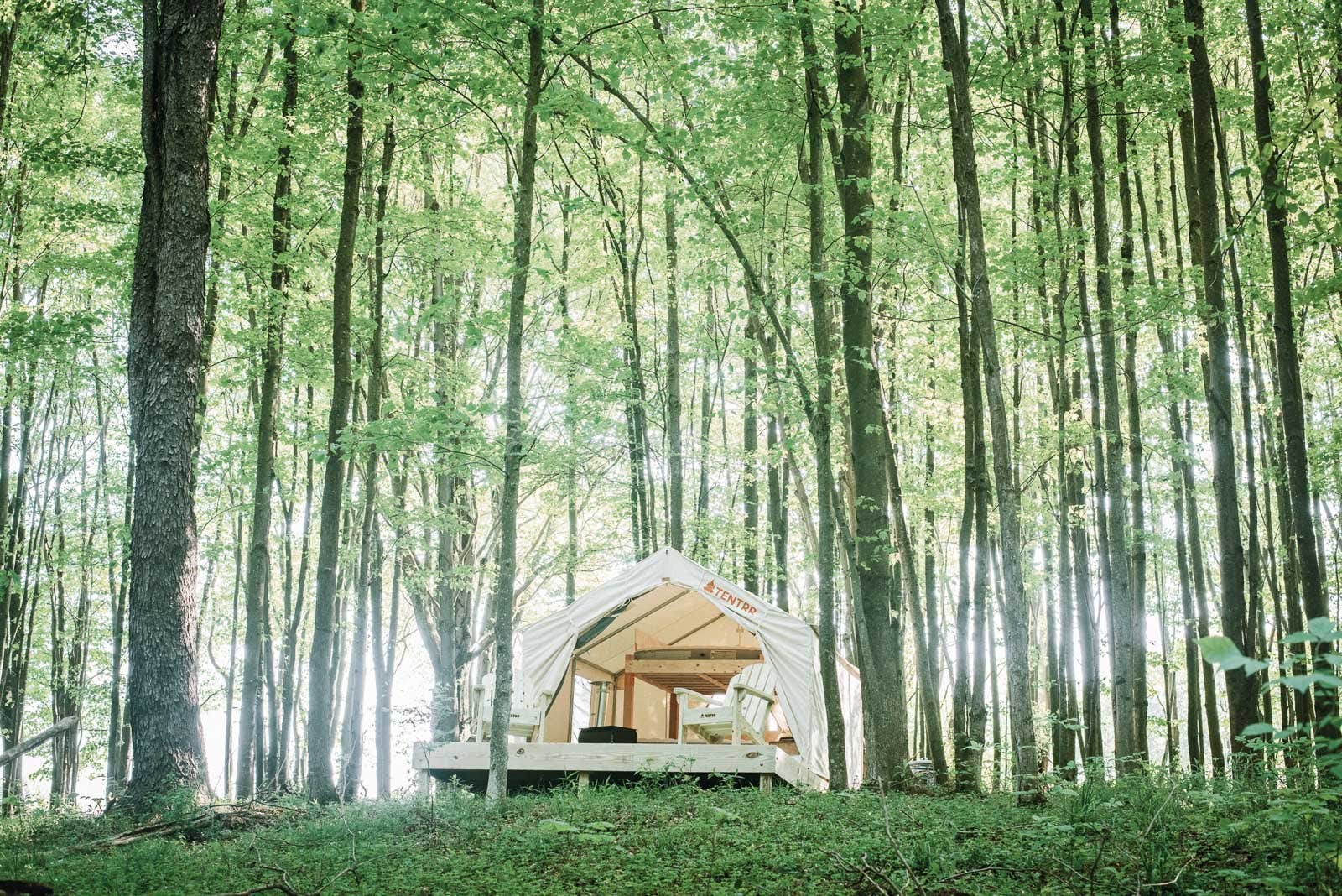 The Dyrt's photo of glamping accommodations at Hollow Tree Camp near Union Dale, PA