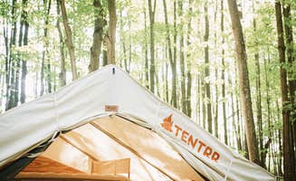 The Dyrt's photo at Hollow Tree Camp near Jermyn, PA