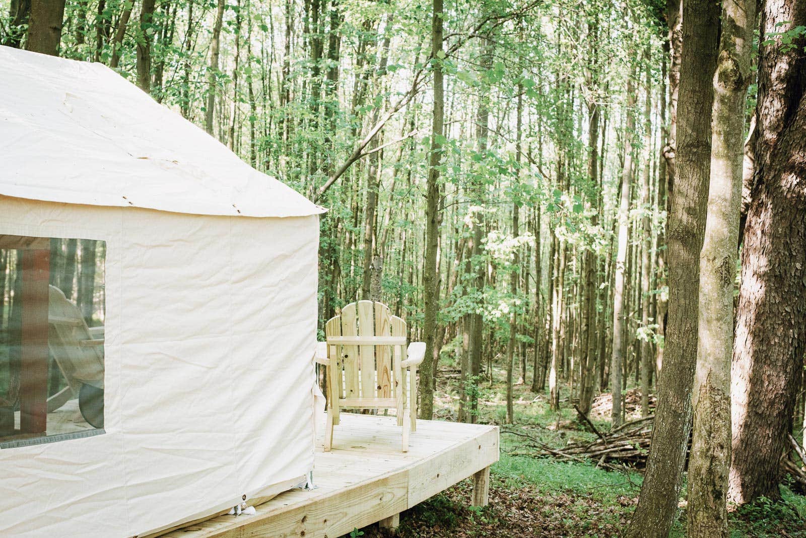 The Dyrt's photo at Hollow Tree Camp near Bethany, PA
