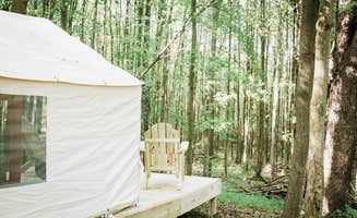 The Dyrt's photo at Hollow Tree Camp near Scranton, PA