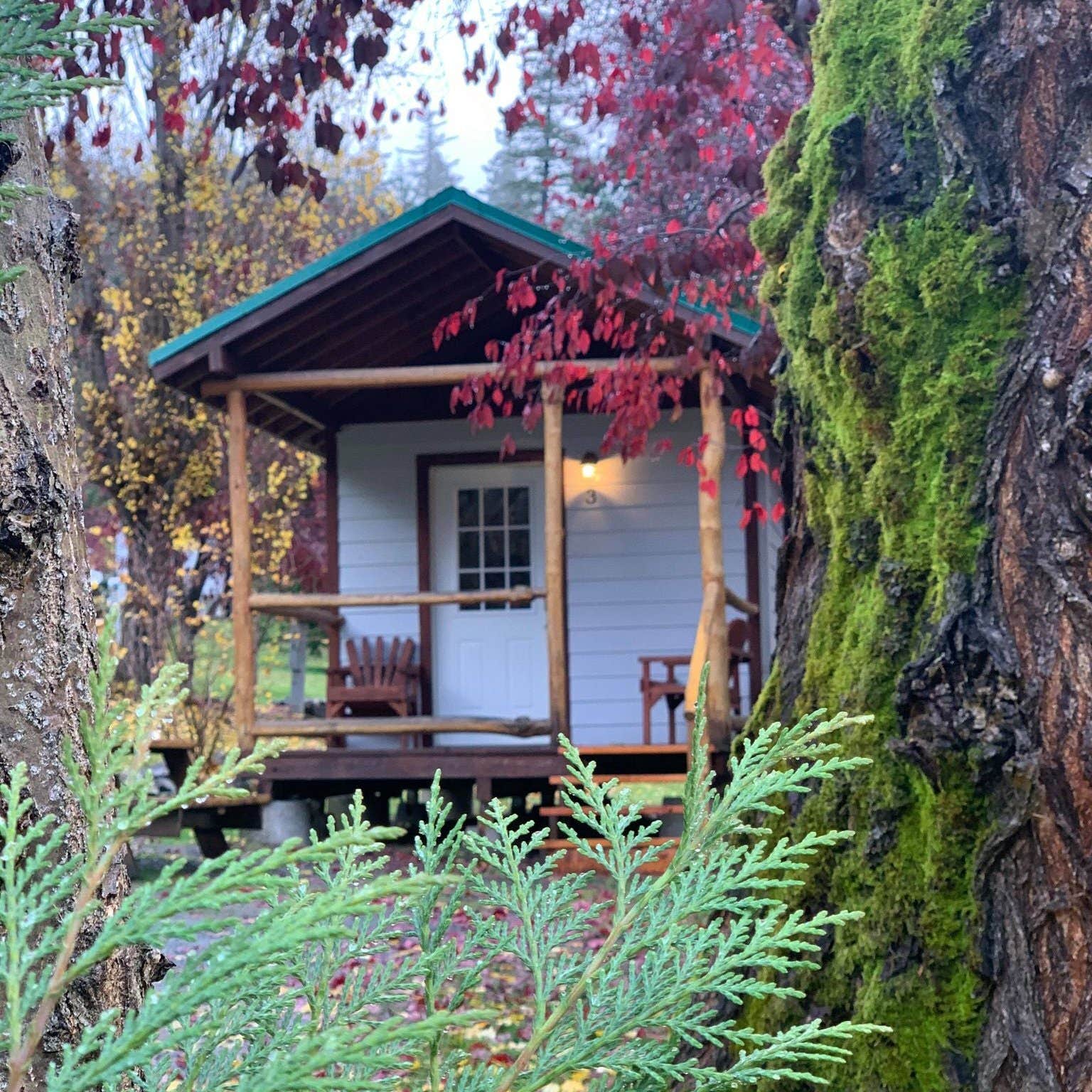 The Dyrt's photo of a cabin at Umpqua's Last Resort & Oregon Mountain Guides near Oakridge, OR