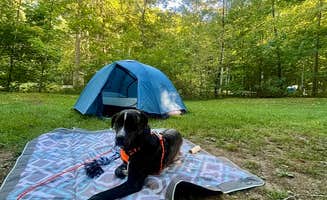 Anna S.'s photo of camping with pets at Scioto Trail State Park Campground near Kingston, OH