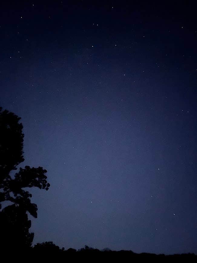 Camper-submitted photo at Scioto Trail State Park Campground near Latham, OH