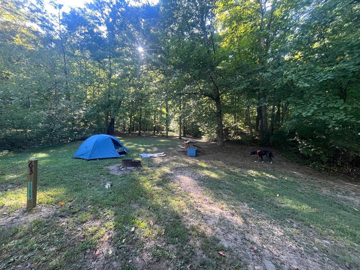 Camper submitted image from Scioto Trail State Park Campground - 3