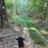 Review photo of Scioto Trail State Park Campground by Anna S., September 9, 2024