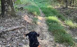 Anna S.'s photo of camping with pets at Scioto Trail State Park Campground near Huntsville, OH