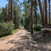 Review photo of Borrego Mesa Campground by Timothy N., September 9, 2024