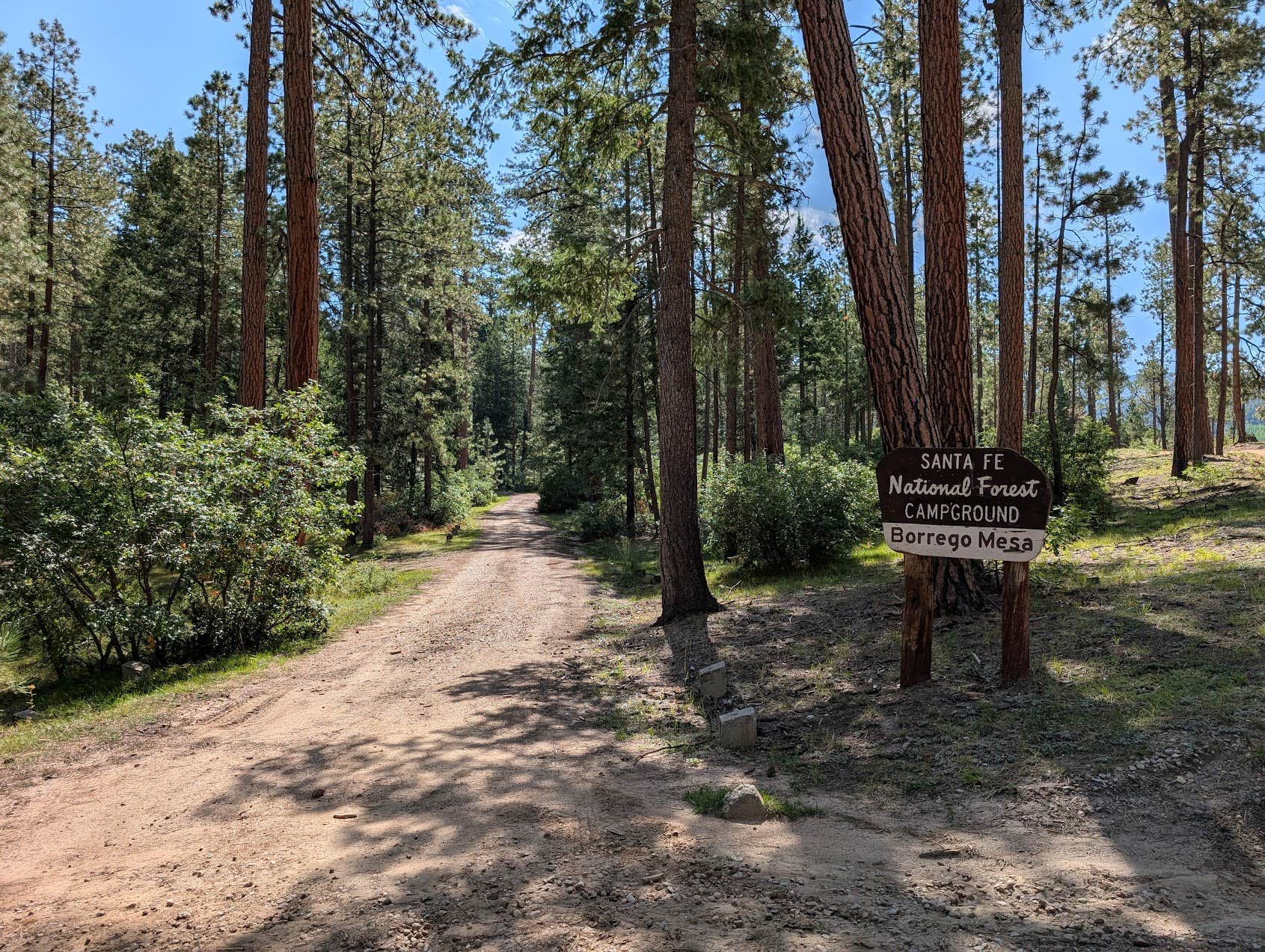 Camper submitted image from Borrego Mesa Campground - 4