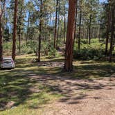 Review photo of Borrego Mesa Campground by Timothy N., September 9, 2024