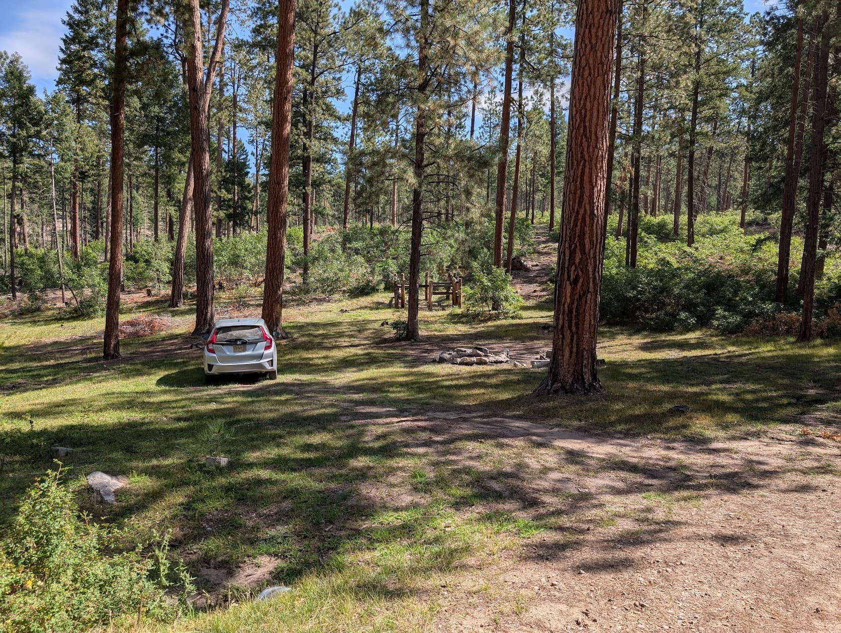 Camper submitted image from Borrego Mesa Campground - 3