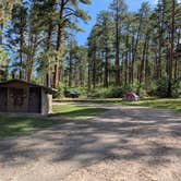 Review photo of Borrego Mesa Campground by Timothy N., September 9, 2024