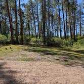 Review photo of Borrego Mesa Campground by Timothy N., September 9, 2024