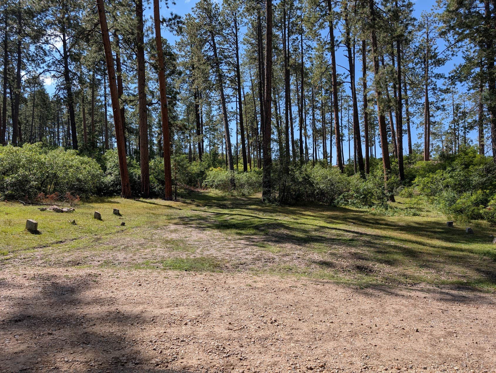 Camper submitted image from Borrego Mesa Campground - 2