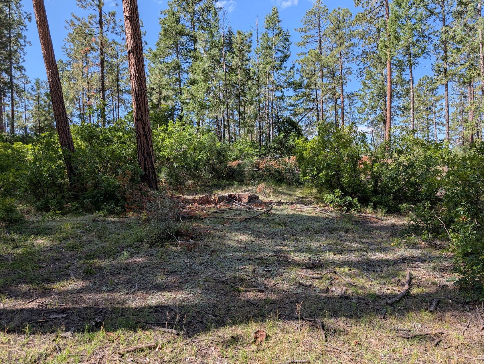 Camper-submitted photo at Borrego Mesa Campground near Arroyo Seco, NM