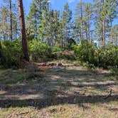 Review photo of Borrego Mesa Campground by Timothy N., September 9, 2024