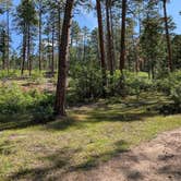 Review photo of Borrego Mesa Campground by Timothy N., September 9, 2024