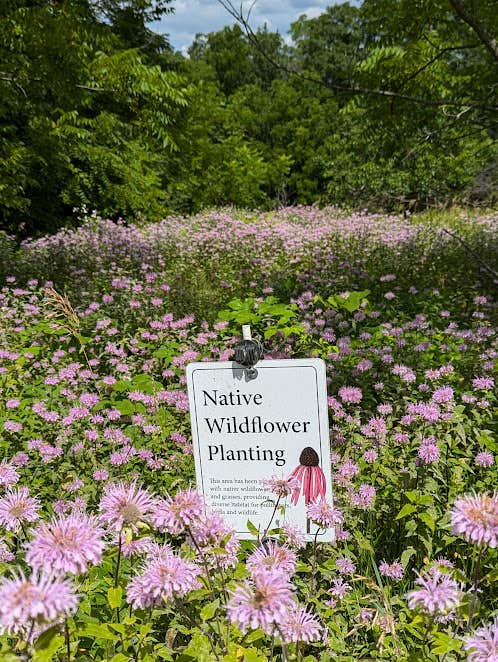 Schmidt Farm by Forestville