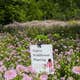 Schmidt Farm by Forestville