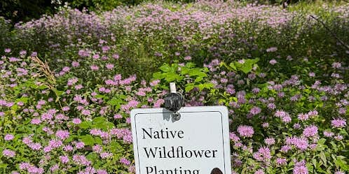 Camper submitted image from Schmidt Farm by Forestville