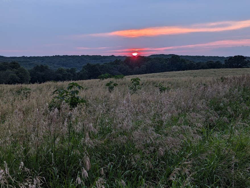 Camper-submitted photo at Schmidt Farm by Forestville near Spring Valley, MN