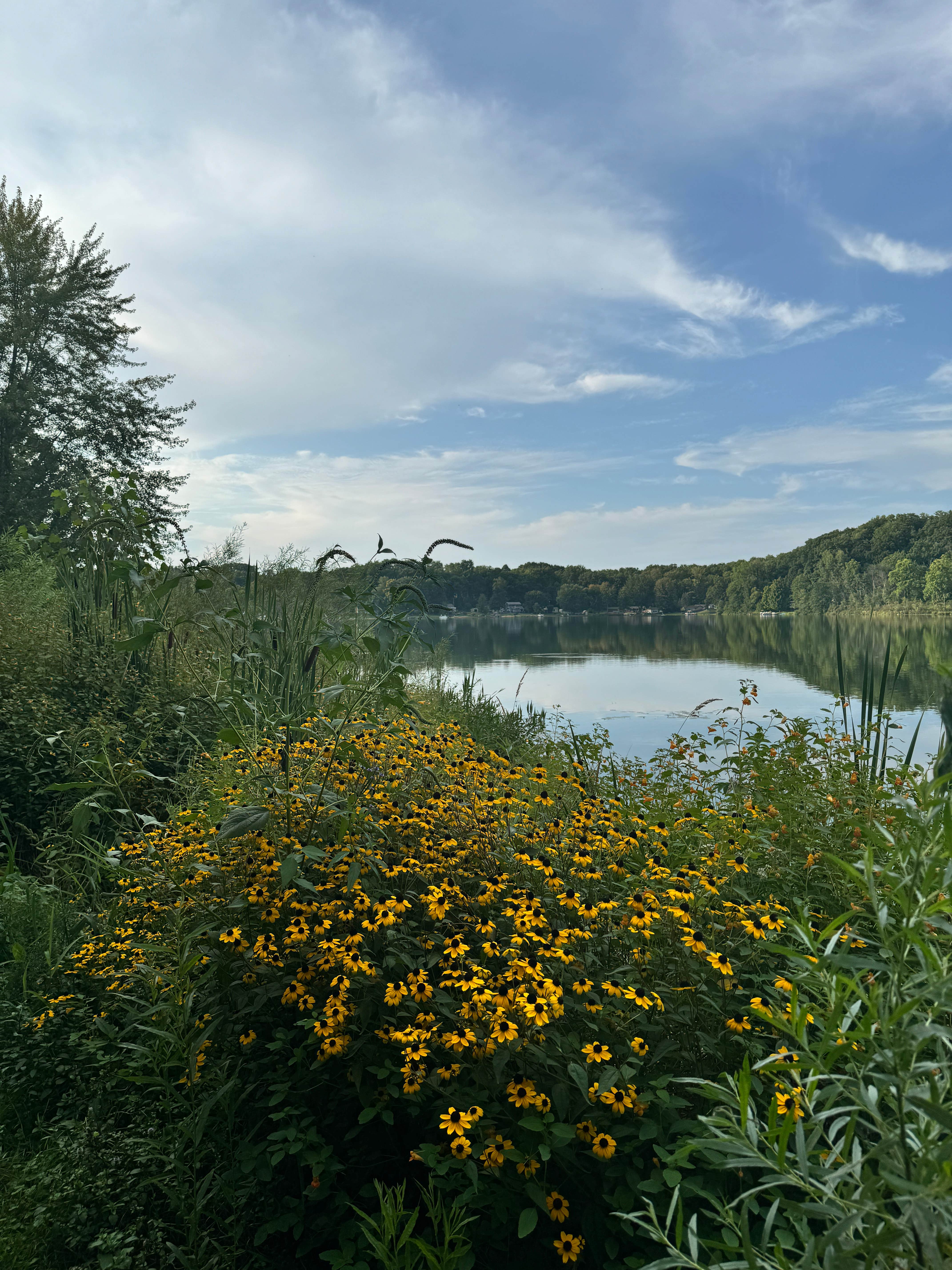 Camper-submitted photo at East Lake Camping near Charlotte, MI