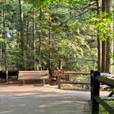 Review photo of Lower Falls Campground — Tahquamenon Falls State Park by Wailym C., September 9, 2024