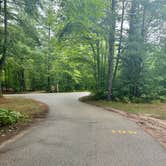 Review photo of Lower Falls Campground — Tahquamenon Falls State Park by Wailym C., September 9, 2024