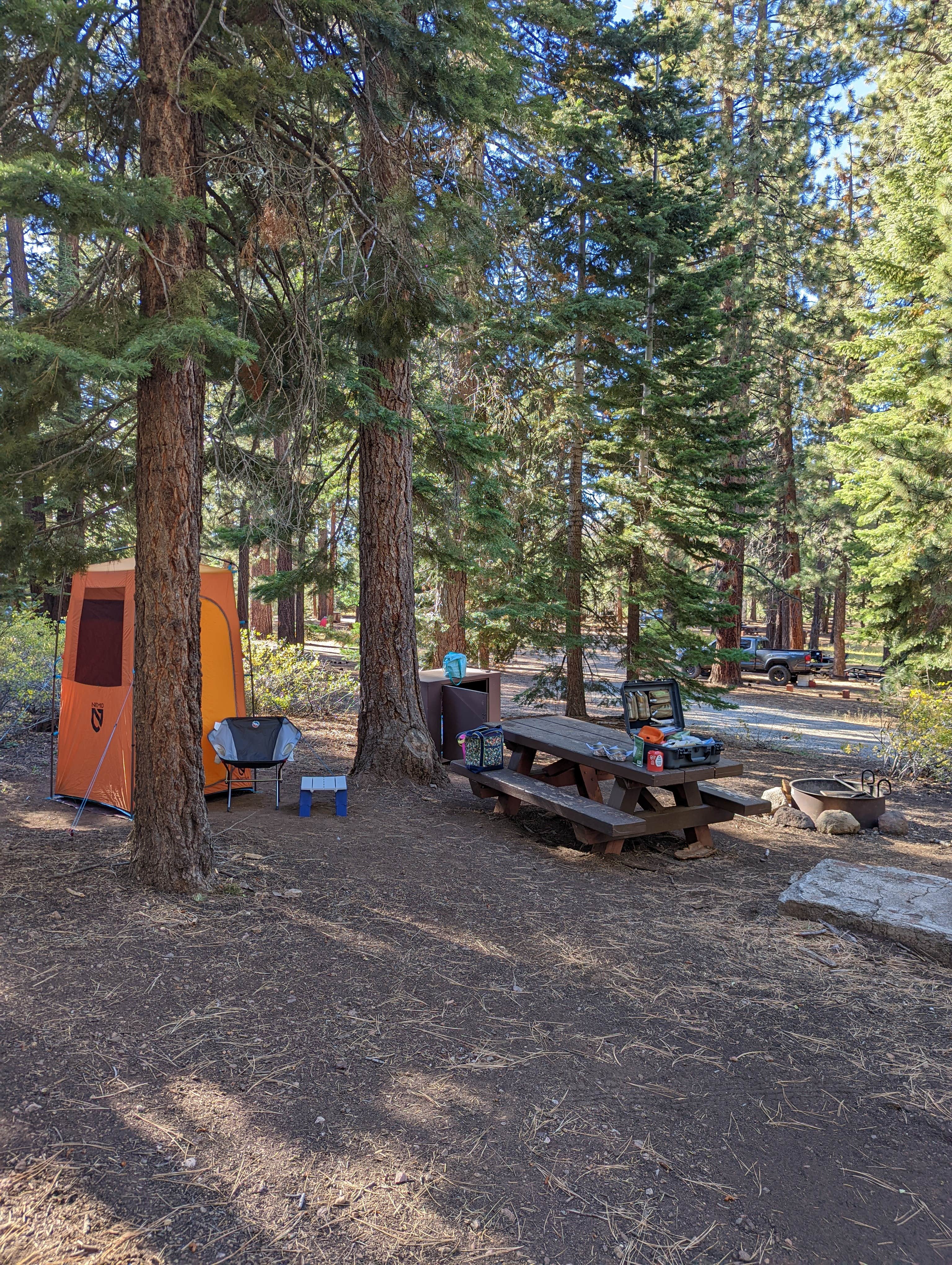 Hope H.'s photo of tent camping at Bear Valley Campground near Doyle, CA