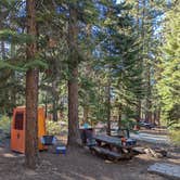 Review photo of Bear Valley Campground by Hope H., September 10, 2024