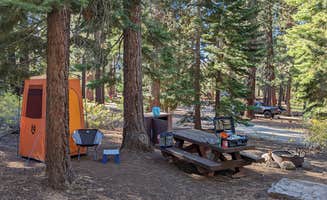 Hope H.'s photo of tent camping at Bear Valley Campground near Clio, CA