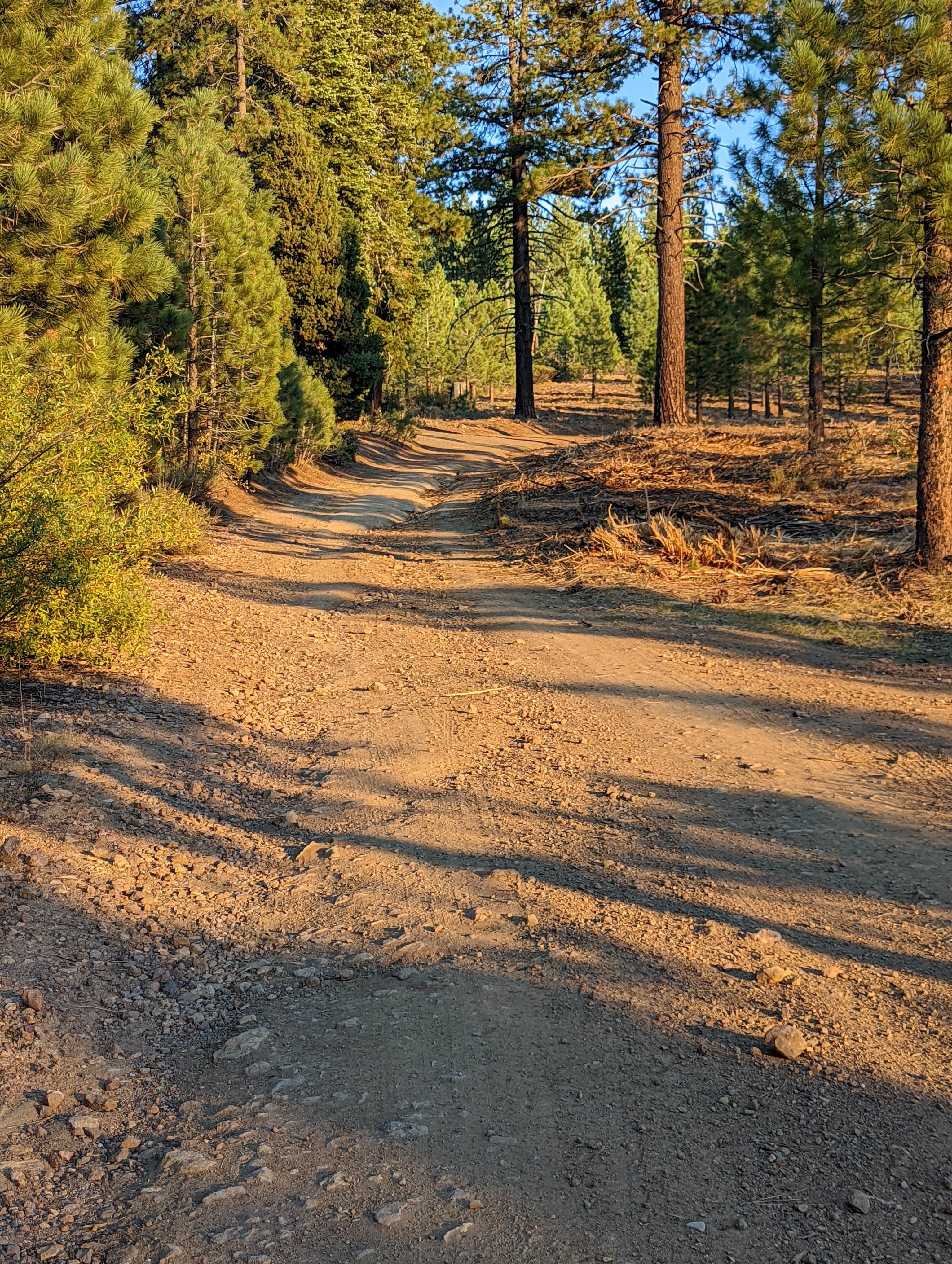 Camper submitted image from Bear Valley Campground - 2