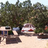 Review photo of Devils Garden Campground — Arches National Park by Jason P., September 15, 2016