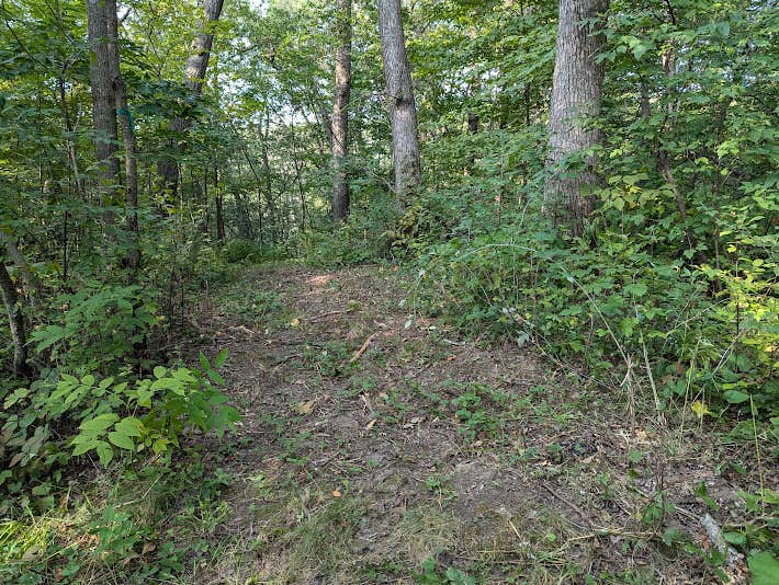 Camper-submitted photo at Schmidt Farm by Forestville near Spring Valley, MN